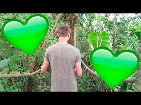 RANDERS REGNSKOV MED ALEX