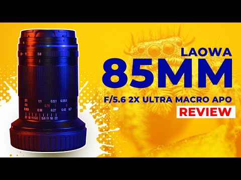 Video thumbnail for Video Review 3