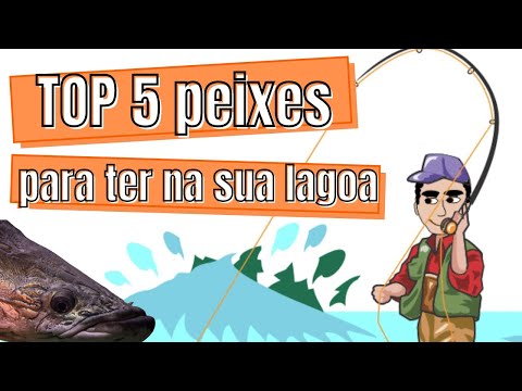 TOP 5 PEIXES PRA COLOCAR NA SUA LAGOA