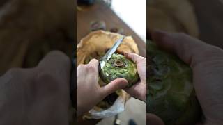 How to turn and cook an artichoke. #chefromainavril #food #artichoke