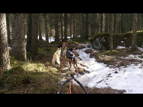 2014-04-02 todays training :-)