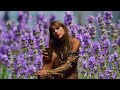 Lavender Haze Taylor Swift music video