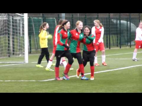 Zuidvogels MC1 - IJsselmeervogels MC1 - 01-02-2014 (Voorzet Nina, intikken Marlotte)