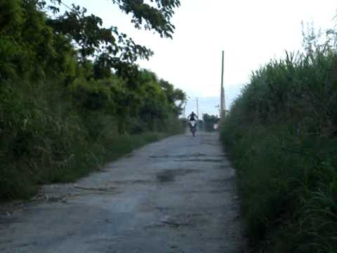 801:boonics cumin in