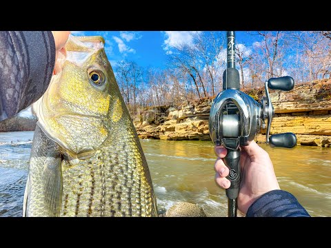 The BEST Winter Fishing Day Of My LIFE (Nonstop Action)