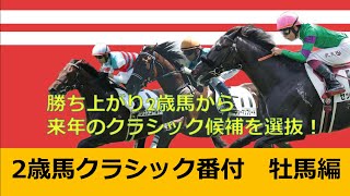 【POG2023-2024】2歳馬クラシック番付牡馬編！！！！次のダービー馬候補は彼らだ！！！