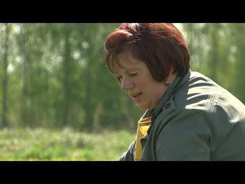 Mājā un sētā 23 05 2020 - Pienenes un Sparģeli