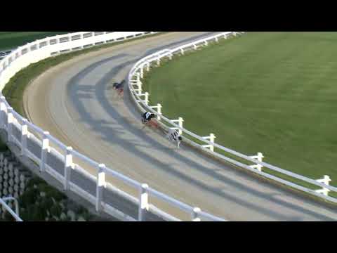 2023.06.30 8. FUTAM - KINCSEM PARK MAGYAR DERBY INVITATION