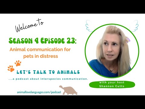 Animal Communication for Pets in Distress on Let's Talk to Animals Podcast