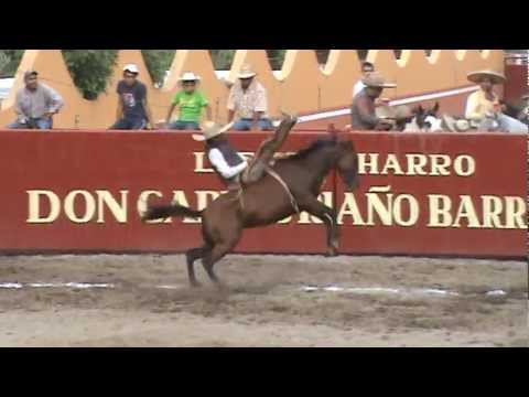 Final del Estatal Veracruz 2012, Jineteo de Yegua de Toño Perez Serrano