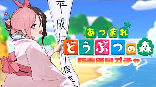 【 あつまれどうぶつの森 】新春離島ガチャ～ジュンくんそろそろきてくださいSP～【ぶいすぽっ！/橘ひなの】