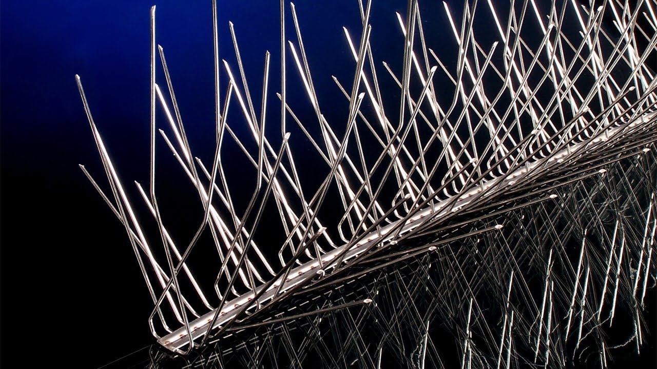 Bird Spike Video - Why Nixalite Spikes Are The Best Bird Spikes In The World