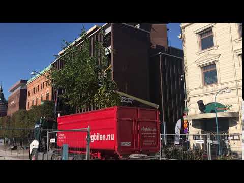 Träden fälls på järnvägsgatan