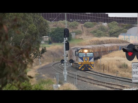 1PM9 Up SCT Goods Train With loco   CF4403-CSR005