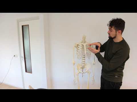 Ademhaling zit vast na corona of longontsteking? Ontdek hoe osteopathie verlichting biedt!"