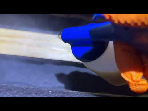 Bed Bugs Getting Cozy Under the Couch in Bound Brook, NJ