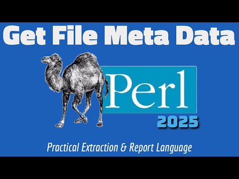 Perl Script to Get File Info | Metadata Extraction Explained 2025
