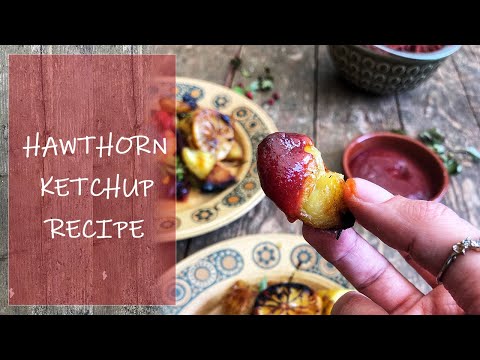 Foraged Hawthorn Ketchup Recipe | A Wild Hedgerow Sauce