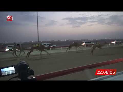  ش 1 (غيوم) لـ صباح قنازل بن سعيد العفاري 6:29:19 ، مهرجان العين 2026/08/08 ثنايا الوقن