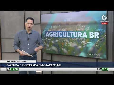 Fazenda é incendiada por criminosos em Caarapó/MS