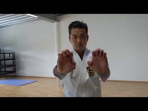 SANSAI part 1/3   genseiryu kata explanation   TEAM KI