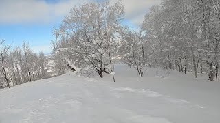 Tree run freaks - Kamui Ski Links 2025/2/20