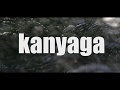 Diamond Platnumz   Kanyaga  lyrics Video