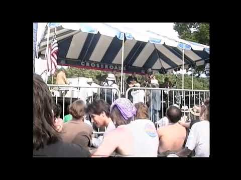 Sunnyland Slim And Hubert Sumlin 1992 Chicago Blues Festival