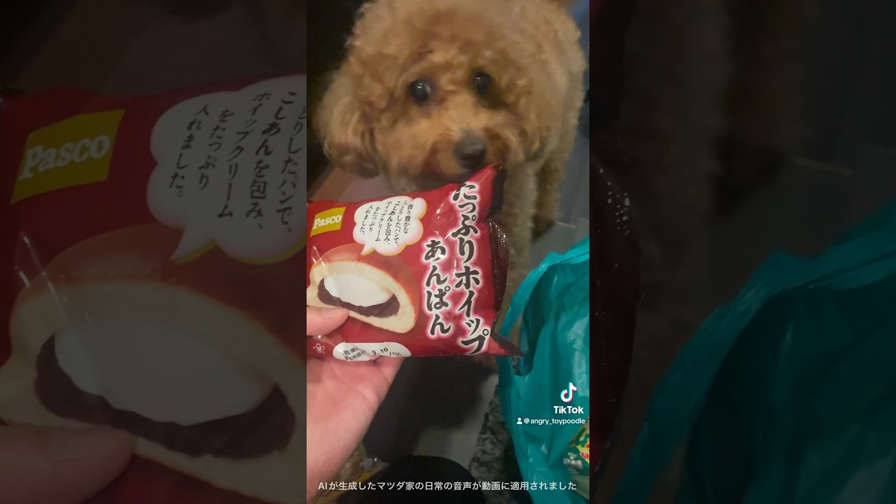 38歳独身トイプ暮らしの買い物