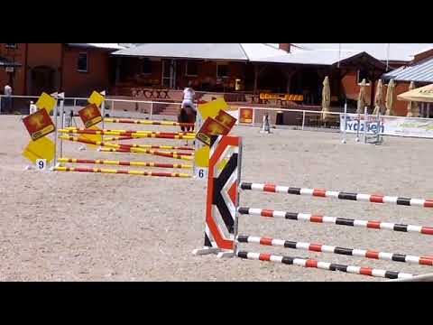 TRACJA (Spartacus x Triple) - 30.08.18 ZR-B Olsza-110 cm I SPRZEDANA/SOLD