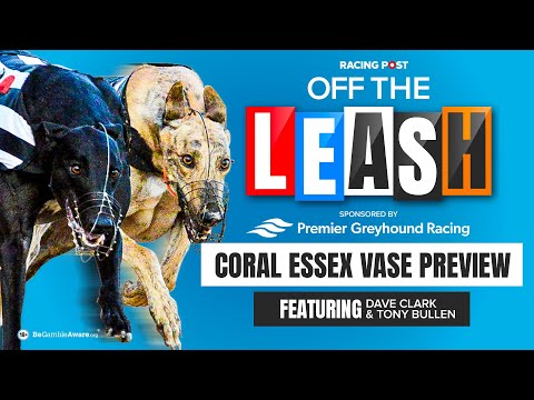 Coral Essex Vase Preview | Off The Leash | Greyhound Racing Tips
