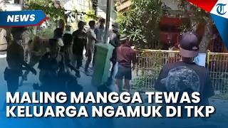 Pencuri Mangga di Bontang Tewas Terjatuh, Keluarga Pelaku Ngamuk Rusak Rumah dan Tebang Pohon