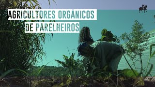 Miniatura do vídeo