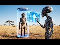 Life Million Of Years Ago We Are Alien Experiments