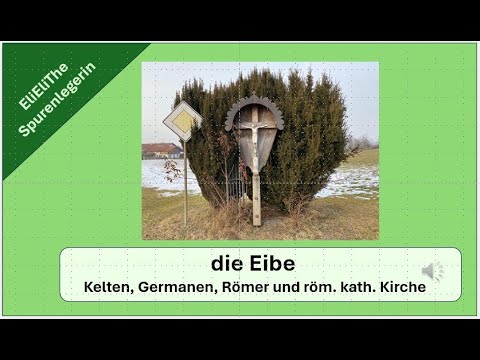 Die Eibe weist in unsere europäische Geschichte!