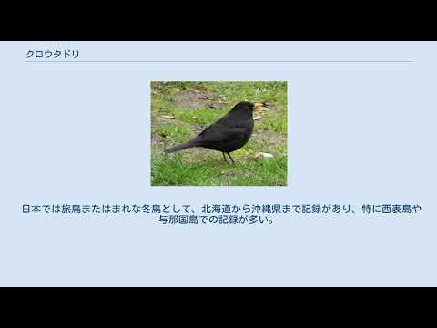 ファイルを聞くのが難しいですか?