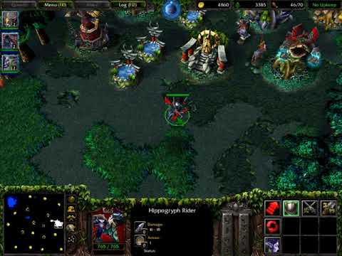 All The Funny Dialogues Of Hippogryph Rider //  Nightelf