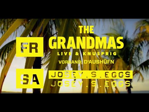 BEACH PARTY 2019 - Windhaag bei Perg