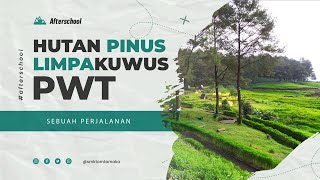 HUTAN PINUS LIMPAKUWUS Baturaden Purwokerto | Afterschool #20