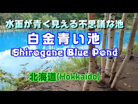 北大西洋海流が崩壊寸前:研究者らが「深刻な結果」を警告