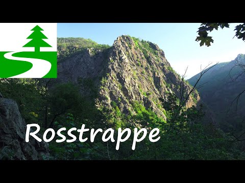 Wanderung auf die Rosstrappe (Schurre) im Harz