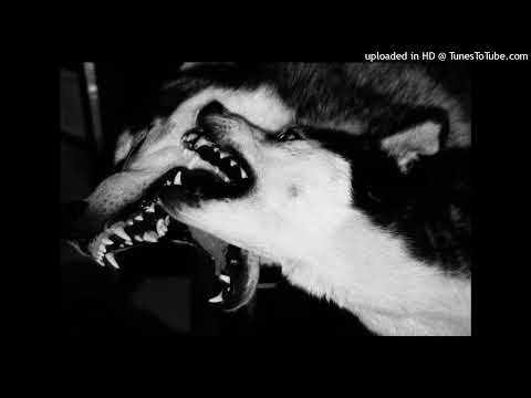 [FREE] ALPHA WANN X SPLURGE X RATU$ TYPE BEAT - ' ICE '