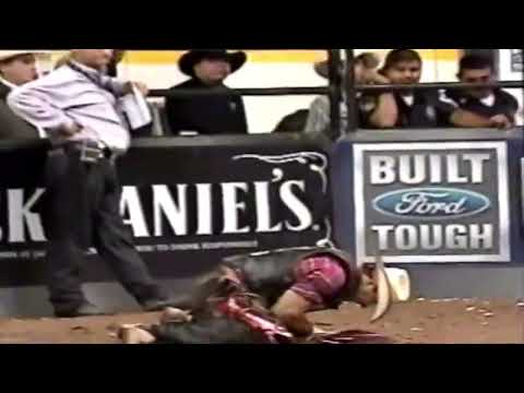Walk This Way bucks Allan Moraes - 06 PBR Chihuahua