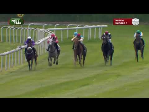 Preis des Rennclub Mülheim an der Ruhr e.V - Kategorie D