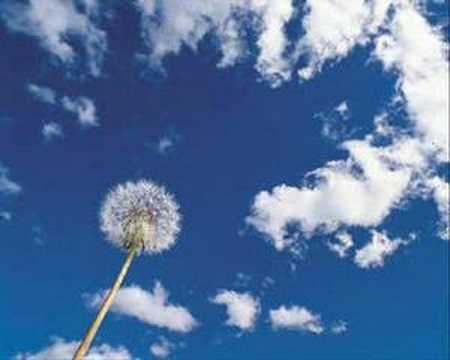download lagu mp3 mp4 Marquinhos Moura, download lagu Marquinhos Moura gratis, unduh video klip Marquinhos Moura