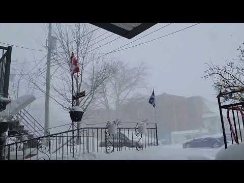 Snow Squall in Montreal Feb.27,2022 #shorts