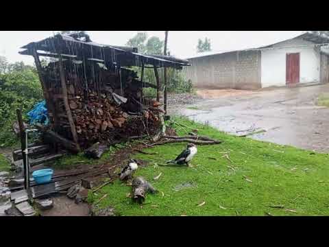 Lluvia torrencial en Laypampa Yauyucan Sta Cruz Cajamarca Perú...
