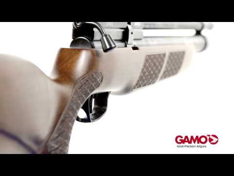 Gamo Coyote PCP Air Rifle