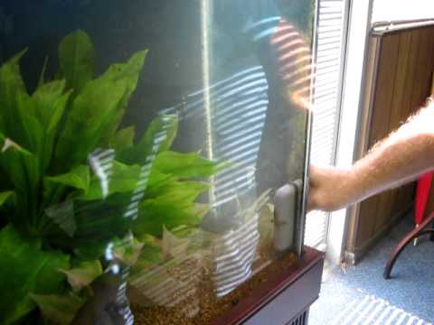 Watch Video on YouTube