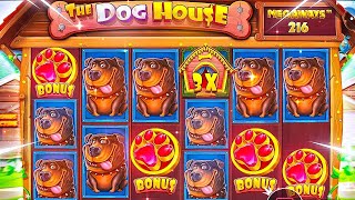 INSANE BIG WIN ON THE DOG HOUSE FREE SPINS GIVE FREE MONEY A LOT OF BONUS
